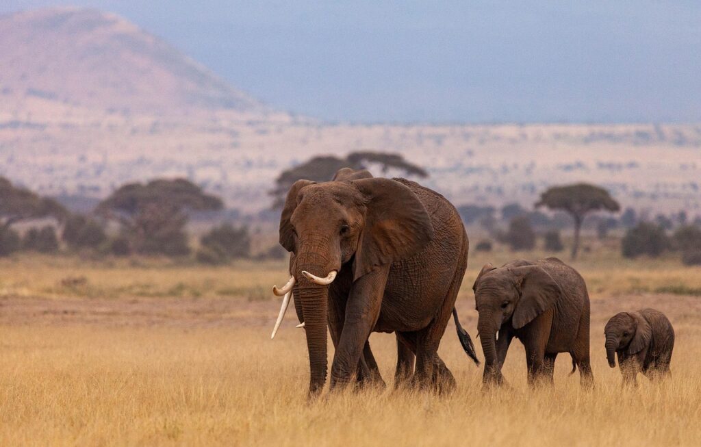Kenya
